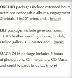 Frisco Wedding Studio